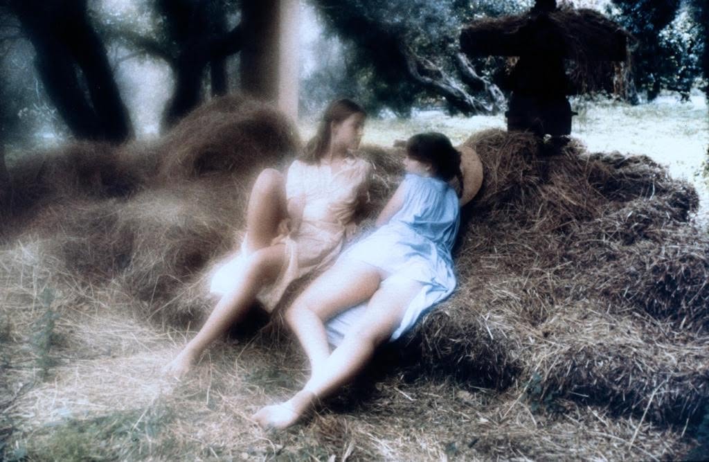 Tender Cousins (1980)